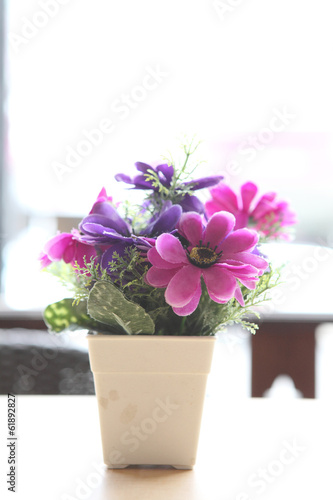 Fototapeta Naklejka Na Ścianę i Meble -  flower in jar