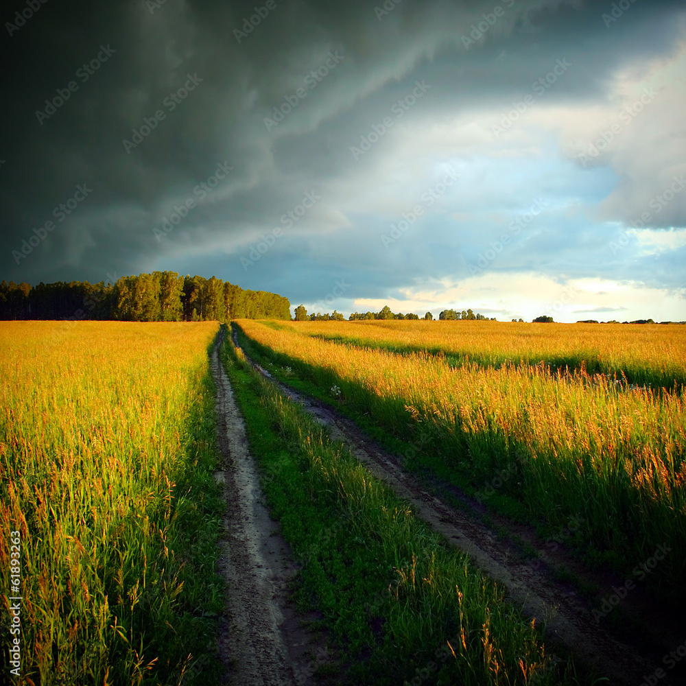 Obraz premium Fields Landscape