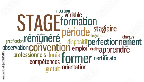 Nuage de Mots : stage