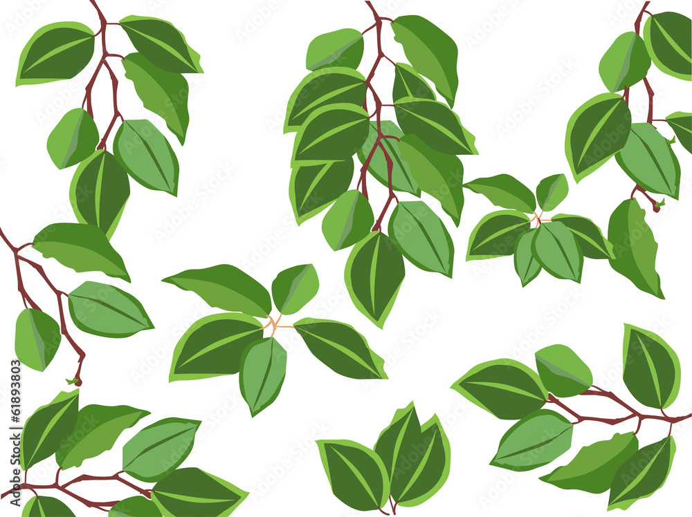 isolated set of abstract branches with green foliage