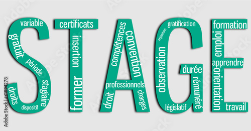 STAGE : Nuage de mots