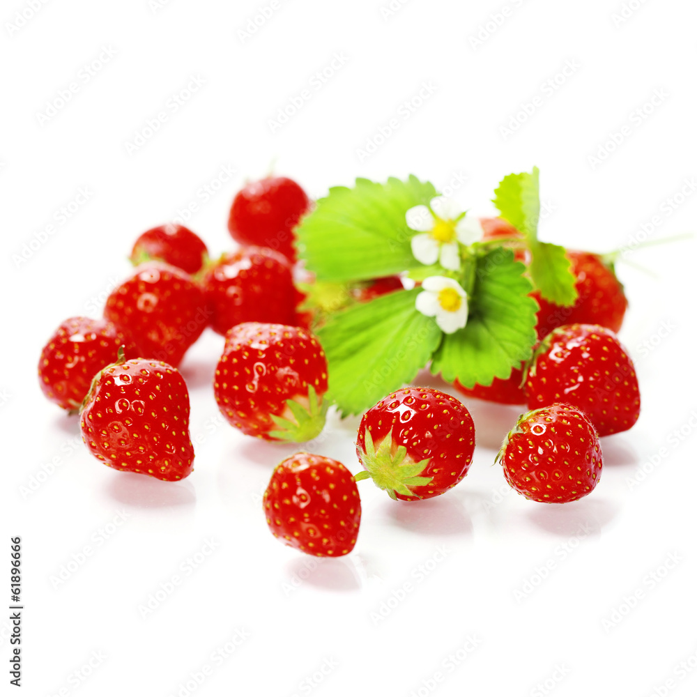 Strawberries Strawberries