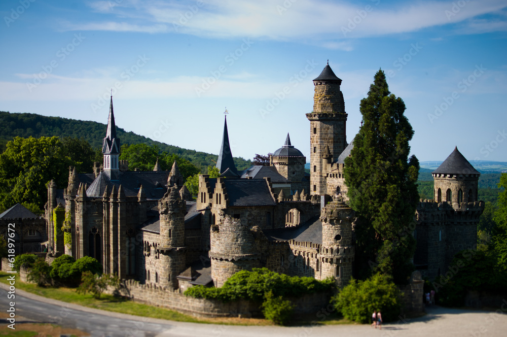 Fototapeta premium Löwenburg