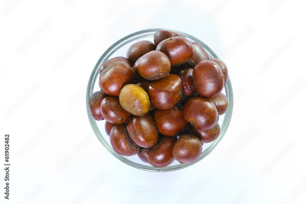 Obraz premium Chestnut in glass blow