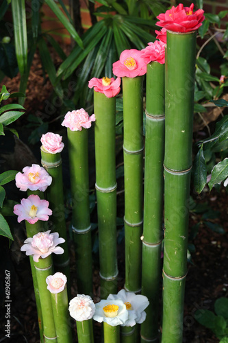 Bambus und Kamelienblüten