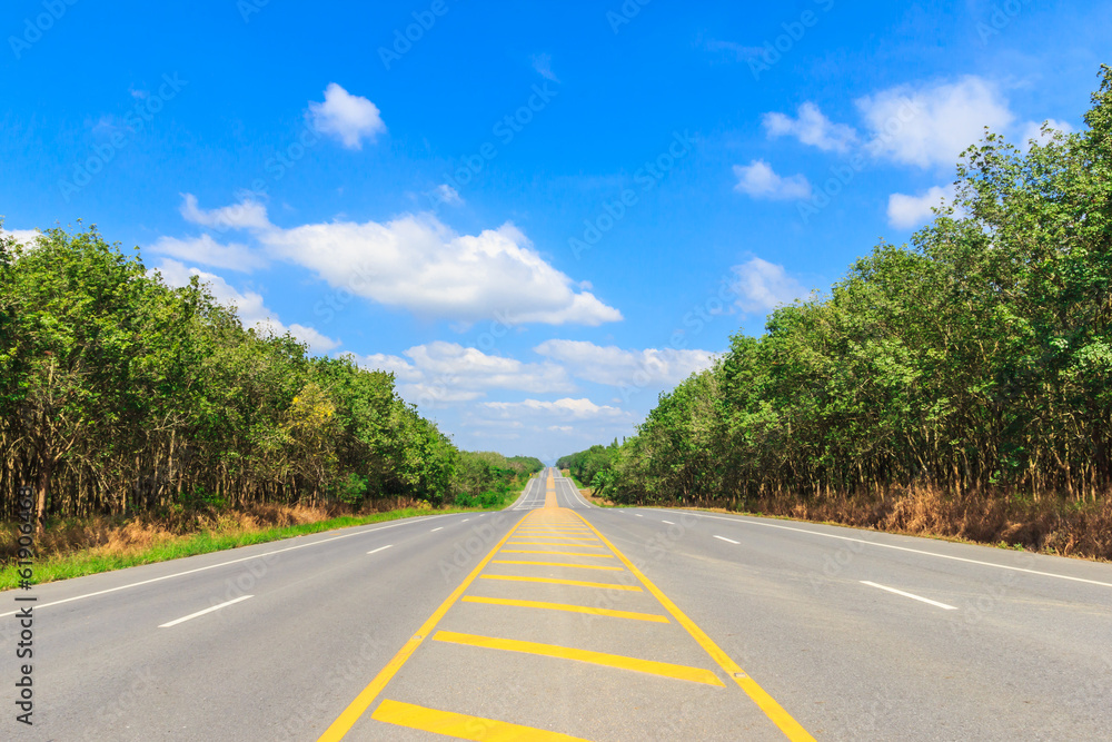 country side road