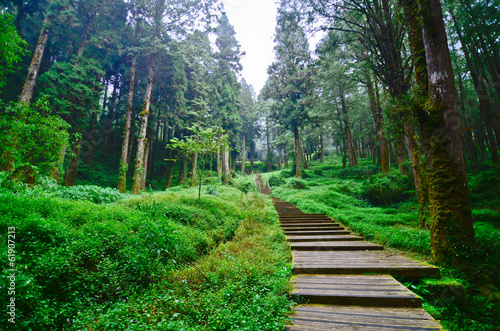 Alishan forest amusement park,Taiwan