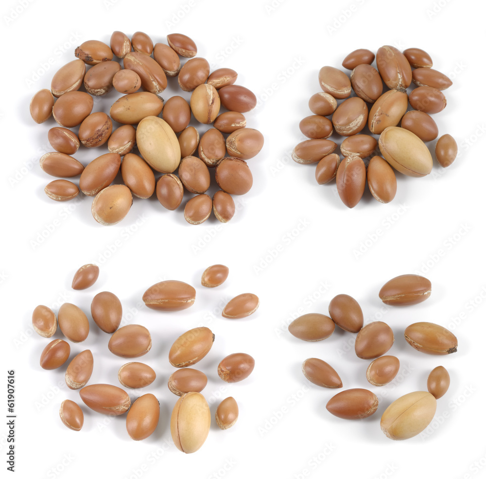 Set of groups of argan nuts on white background. Set of groups of argan nuts on white background.
