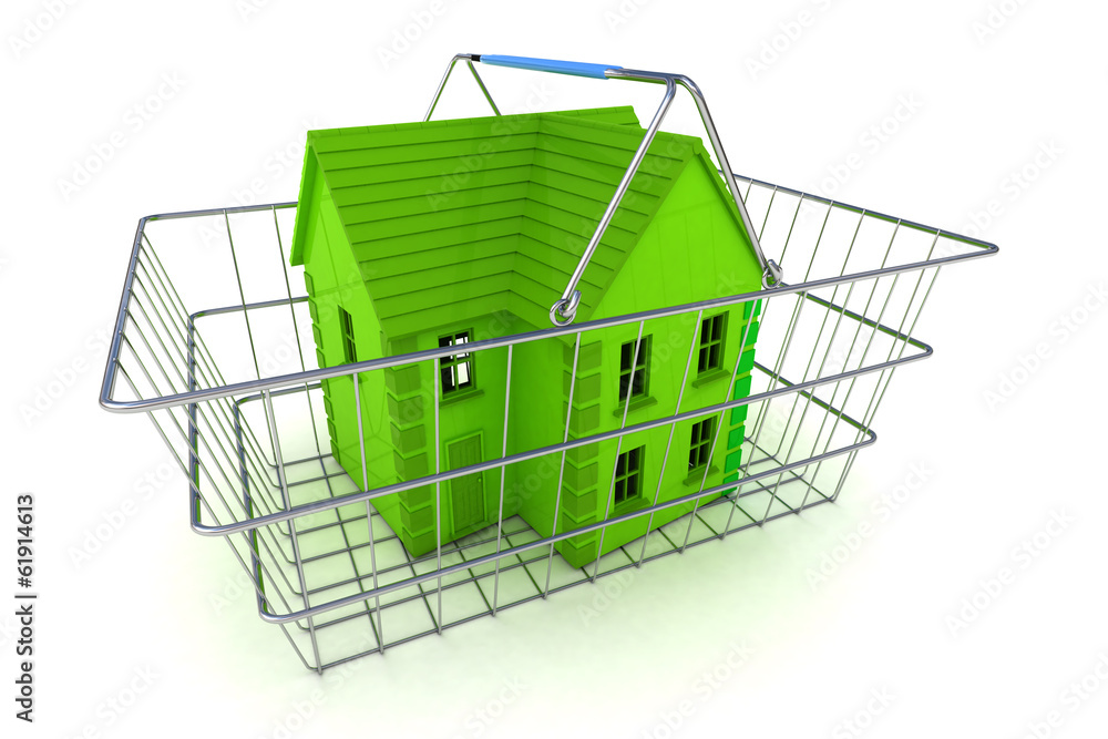 Buying a House Concept Buying a House Concept