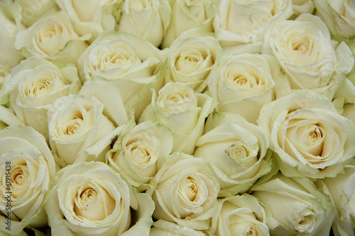 Group of white weddingflowers