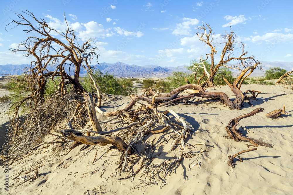 desert landscape in the death valley without people