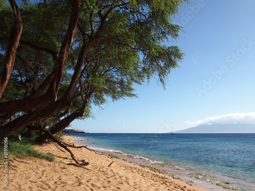 Kaanapali Beach with gentle waves and tall rugged trees
