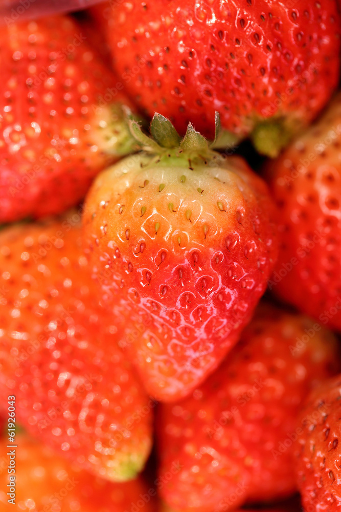 Strawberry Strawberry