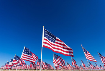 A display of American flags with a sky background