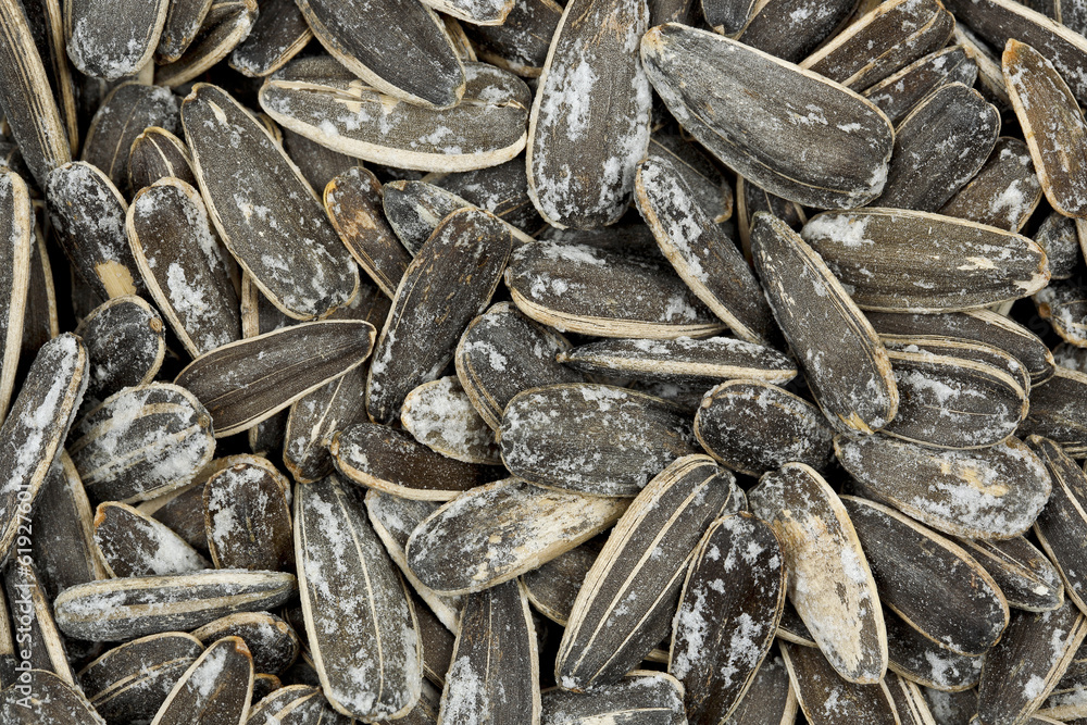 sunflower seeds