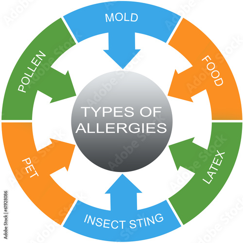 Types of Allergies Word Circles Concept