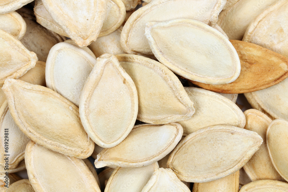 Close up of pumpkin seeds. Close up of pumpkin seeds.