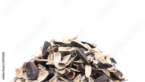 Fotografie Bunch of sunflower seeds pile.