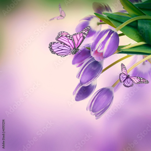 Fototapeta Naklejka Na Ścianę i Meble -  Red tulips with green grass  and  butterfly.