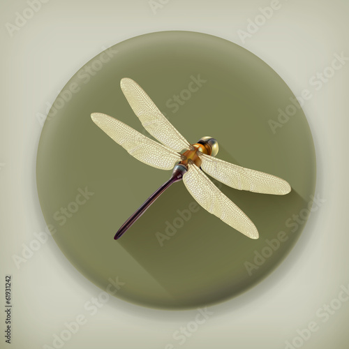 Dragonfly, long shadow vector icon