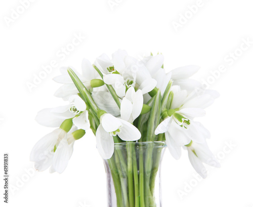 Beautiful snowdrops in vase, isolated on white