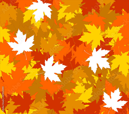 Autumnal concept background