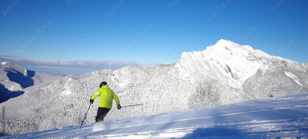 ski de poudreuse - saint pierre de chartreuse Stock Photo | Adobe Stock