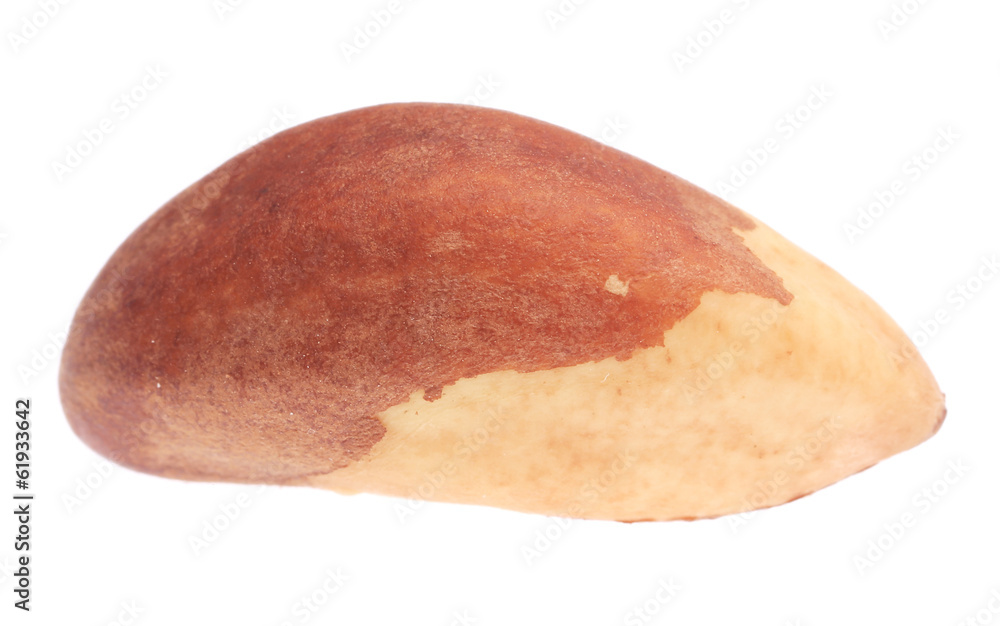 Close up of brazil nut. Close up of brazil nut.