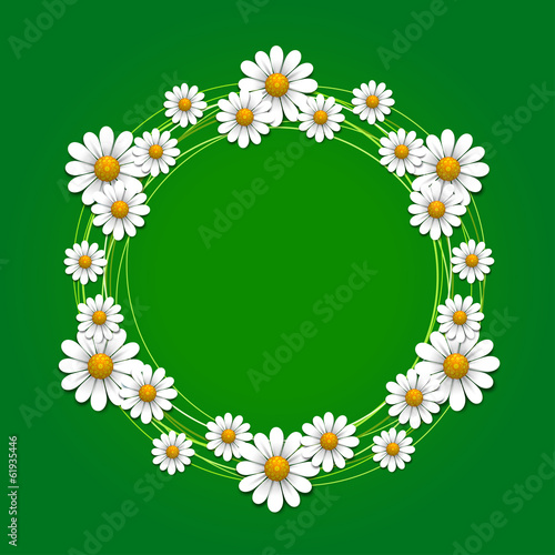 Floral background with daisy