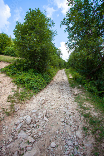 Mountain trail in late summer with sky and trees in Karpathian 