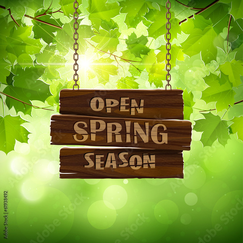 Natural background with leaves and wooden sign. Vector