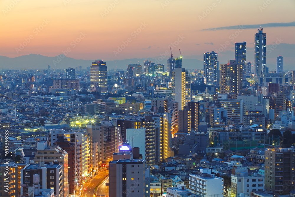 beautiful view of tokyo city at sunset time