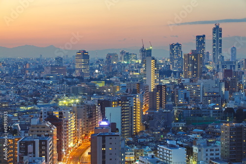 beautiful view of tokyo city at sunset time