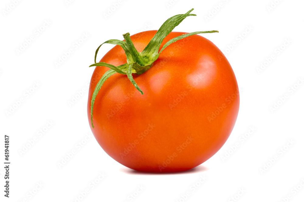 Single tomato Single tomato