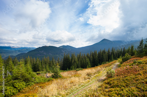 Gorgeous mountain view with sky and trees. Trail in Carpathian. © Dmytro Sandratskyi