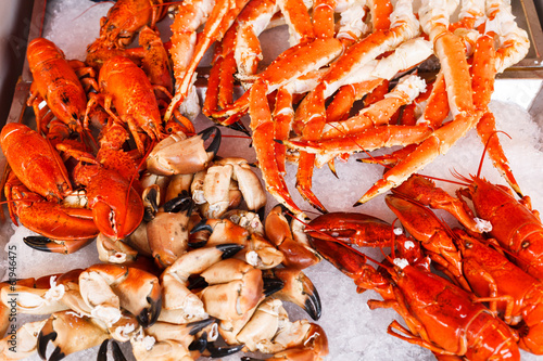 Photography Seafood in Bergen fish market