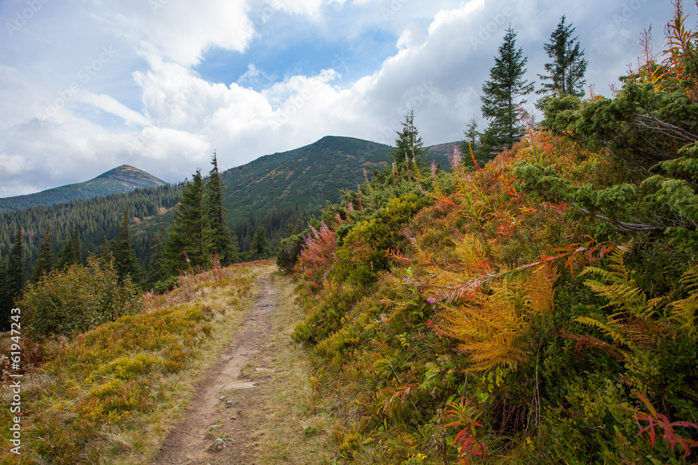 Gorgeous mountain view with sky and trees. Trail in Carpathian.