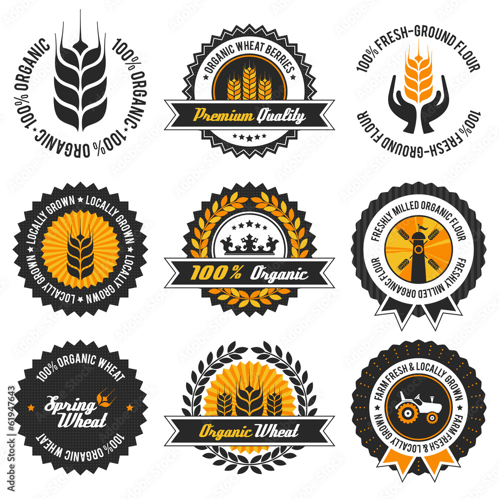Fototapeta premium organic wheat label set with modern, vintage elements