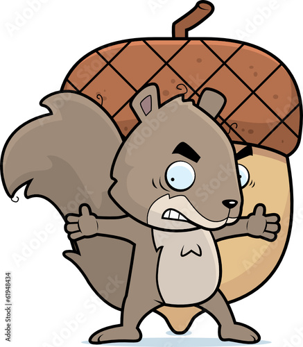 Squirrel Nut