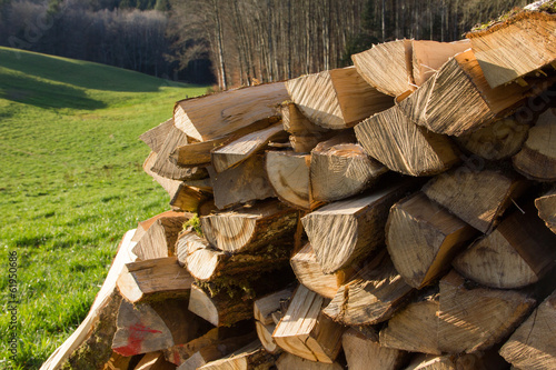 Stère de bois