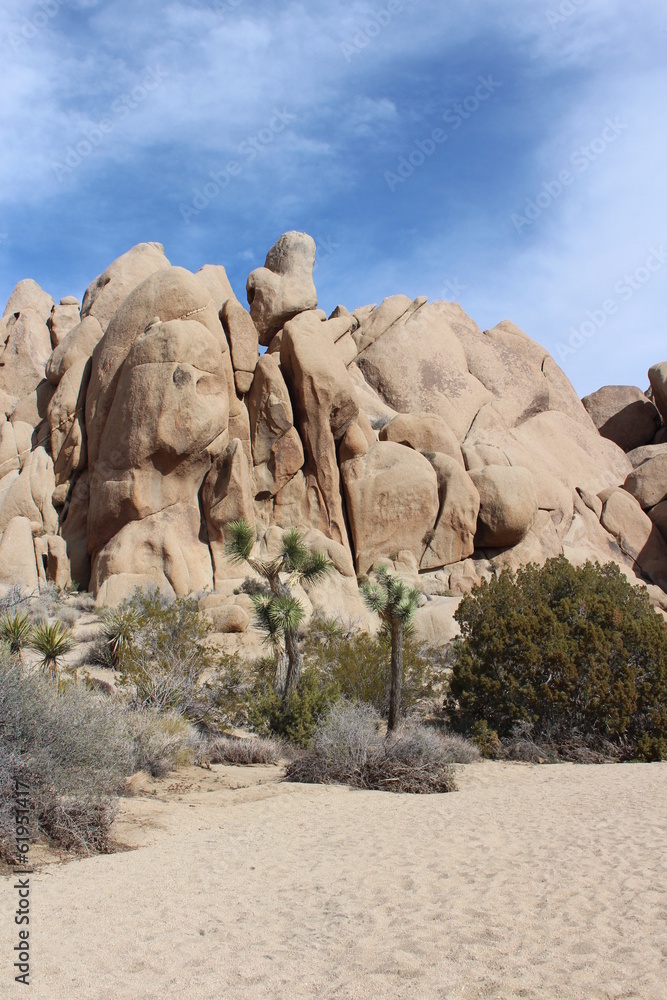 Joshua Tree National Park Dry Stream Landscape Joshua Tree National Park Dry Stream Landscape