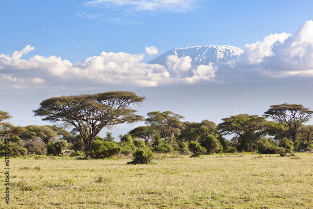 Fototapeta premium Kilimandżaro ze śniegiem