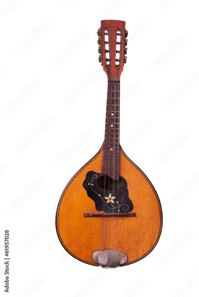 Obraz premium Lute on white