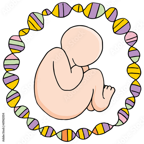 Prenatal Genomic Research