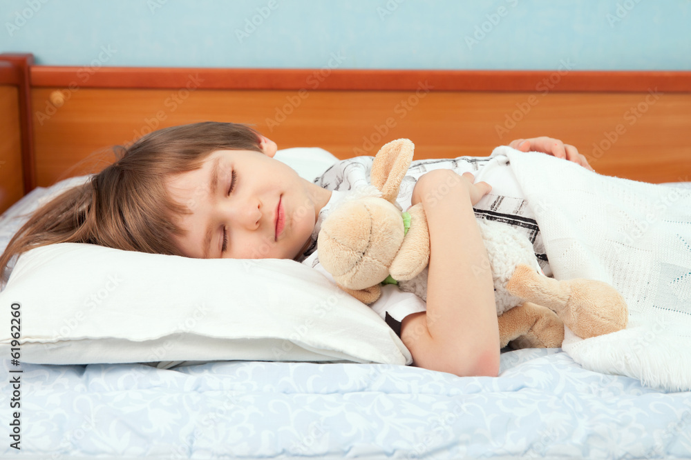 The sleep boy with toy sheep The sleep boy with toy sheep