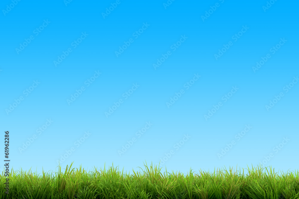 Grass and blue sky 2