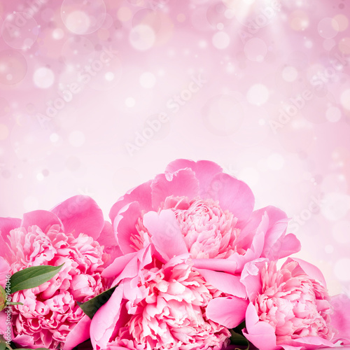 Pink roses on bokeh background © erika8213