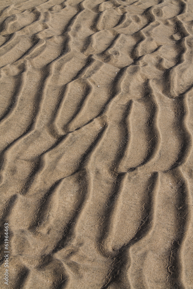 Fototapeta premium Ripples in the sand