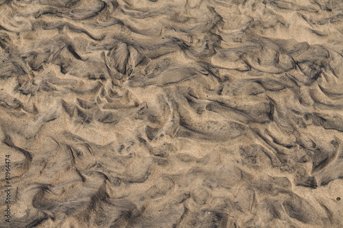 Ripples in the sand