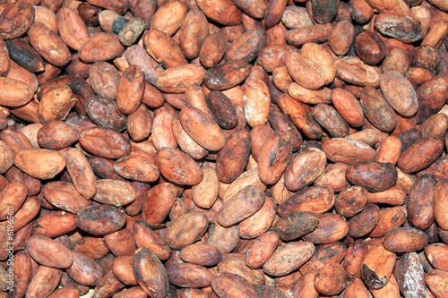 Cocoa Beans